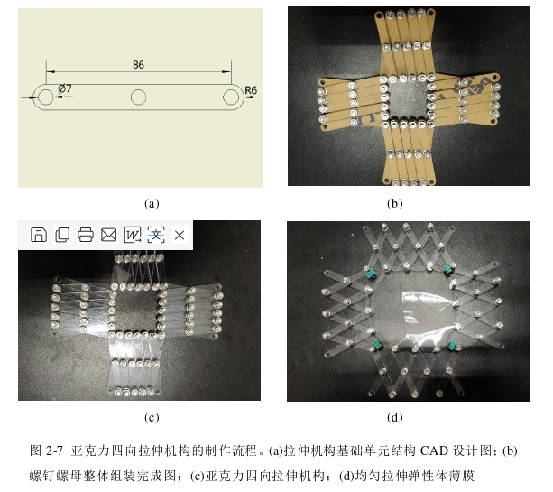 高压放大器在介电弹性体折纸术软体机器人中的应用图片