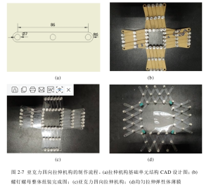高压放大器在介电弹性体折纸术软体机器人中的应用