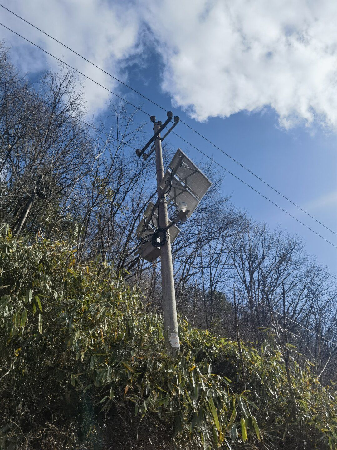 架空线路山火监测装置图片