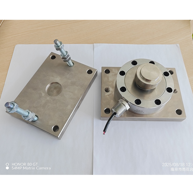 NTG系列防爆轮辐称重模块图片