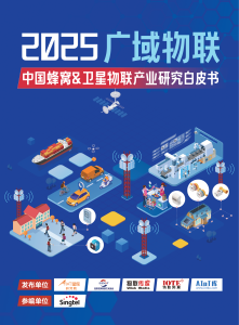 2025广域物联——中国蜂窝&卫星物联产业研究白皮书
