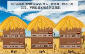 粮仓环境温湿度监控系统解决方案
