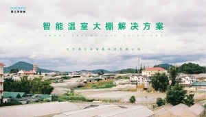 智能温室大棚解决方案