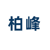 山东柏峰电子科技有限公司