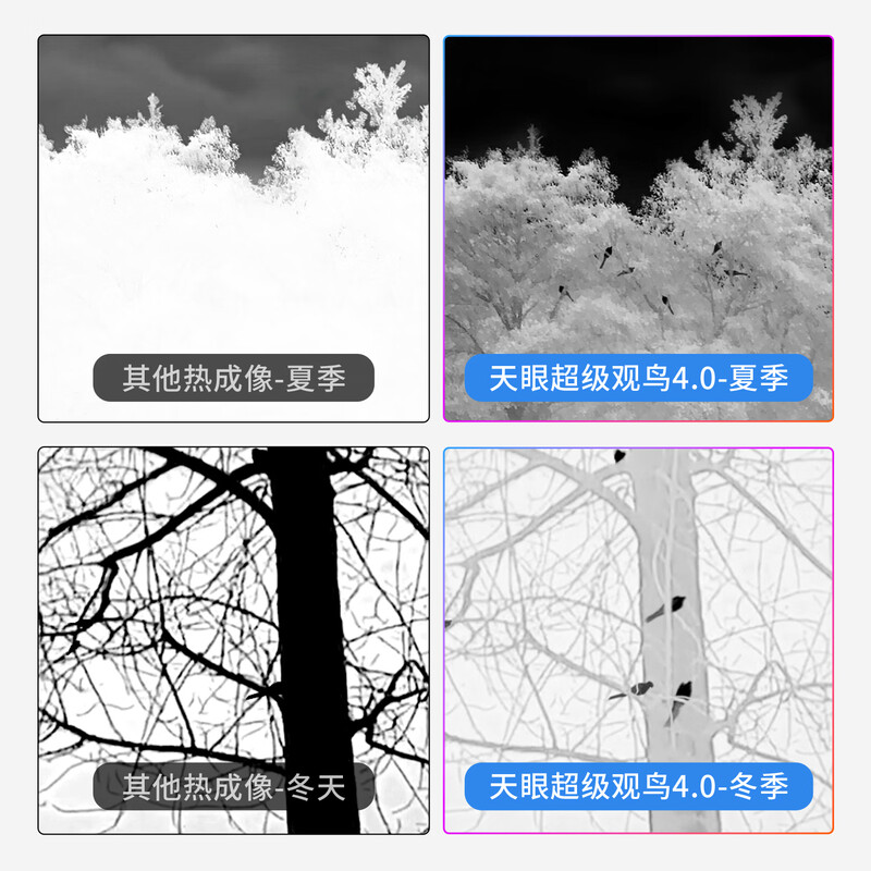 天眼DV200热成像夜视仪超分算力5英寸大屏手持高清一体机图片