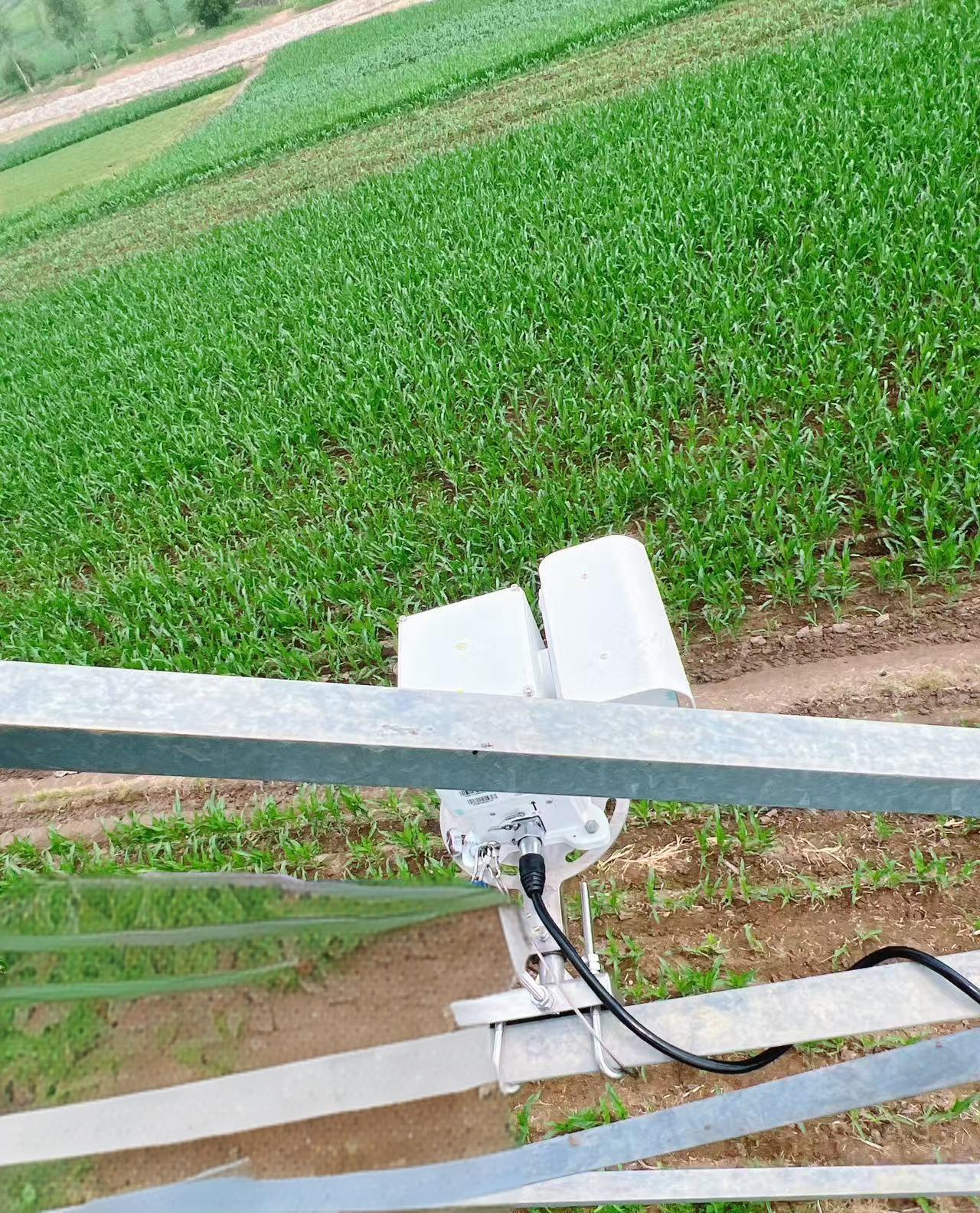 输电线路复合型多目云台监拍装置 输配电线路缺陷及隐患自动识别终端图片