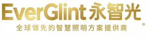 永智光（深圳）科技有限公司