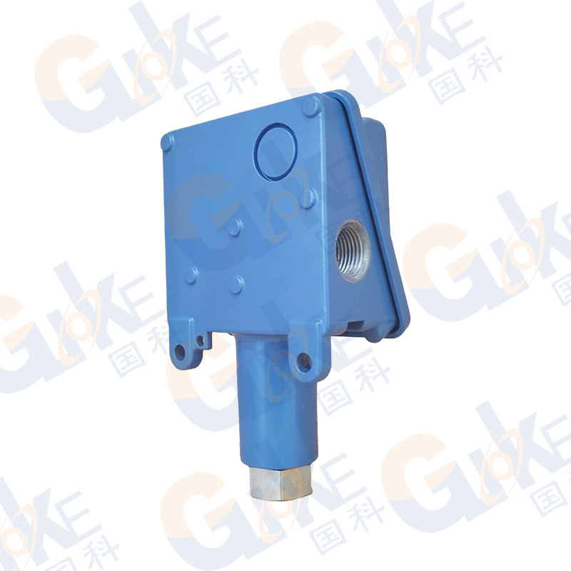 国科DZ803/804型机械式压力/差压开关图片