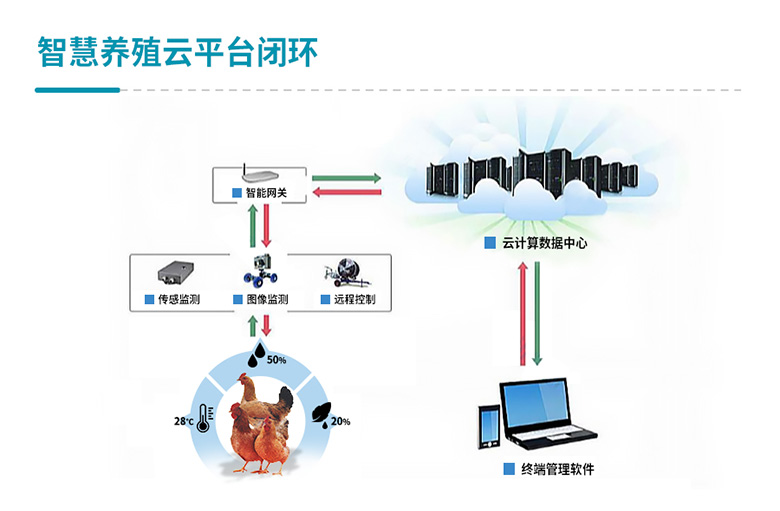 智慧畜牧养殖解决方案