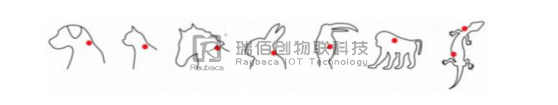 瑞佰创物联科技