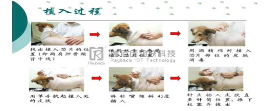 瑞佰创物联科技