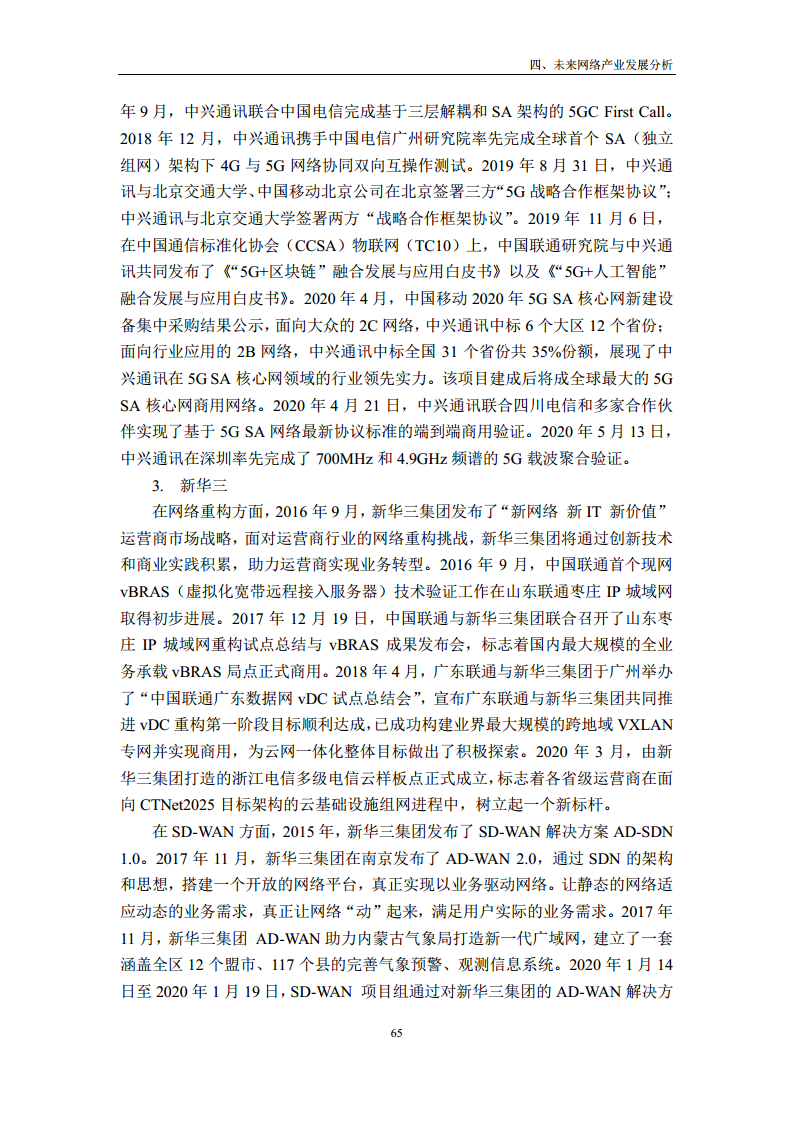 未来网络发展白皮书（2020）图片