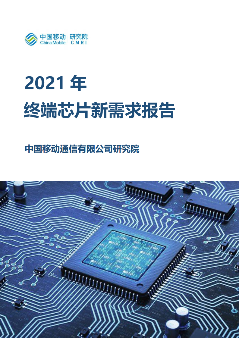 2021年终端芯片新需求报告图片
