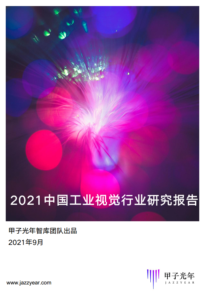 2021中国工业视觉行业研究报告图片