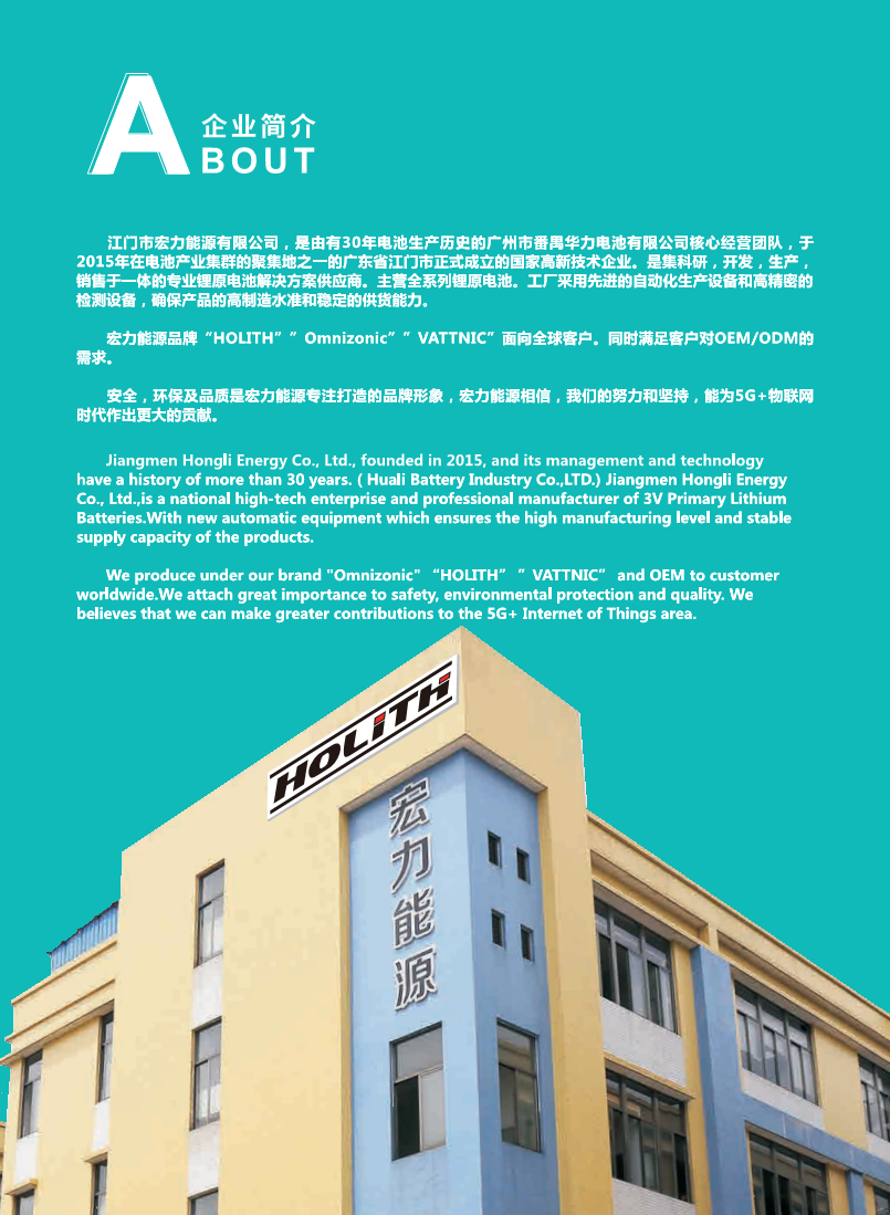 锂-二氧化锰电池CR2图片
