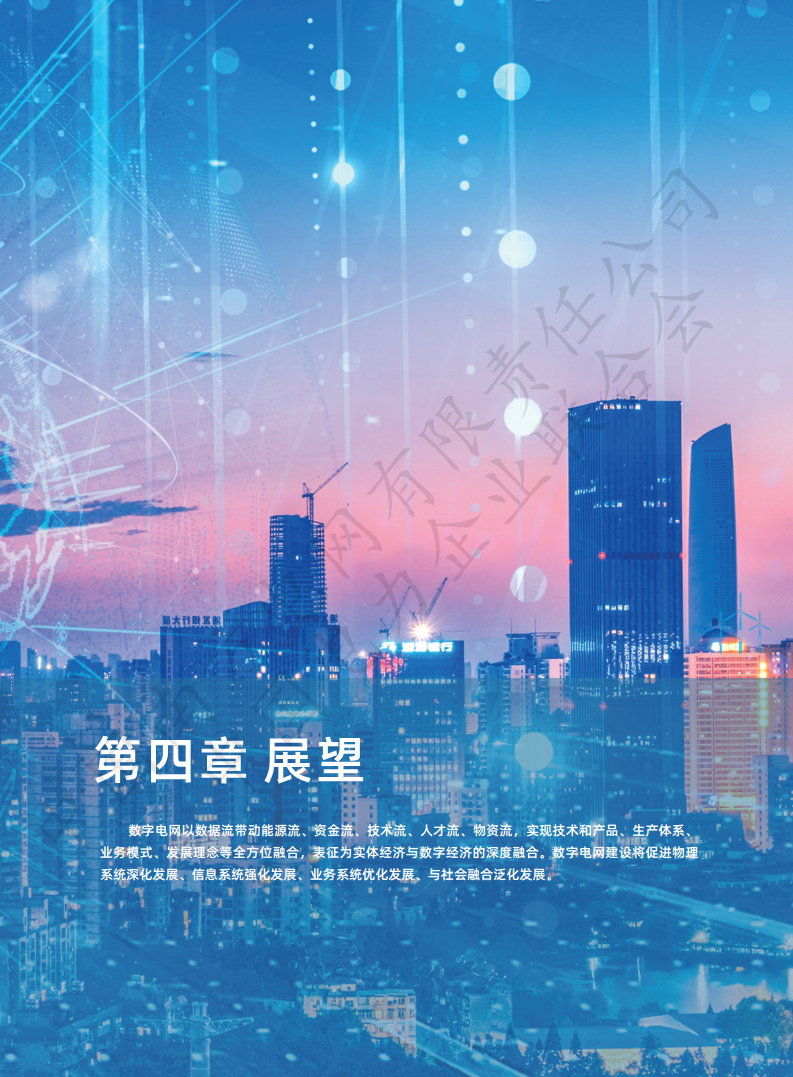 数字电网标准框架白皮书（2022年）图片