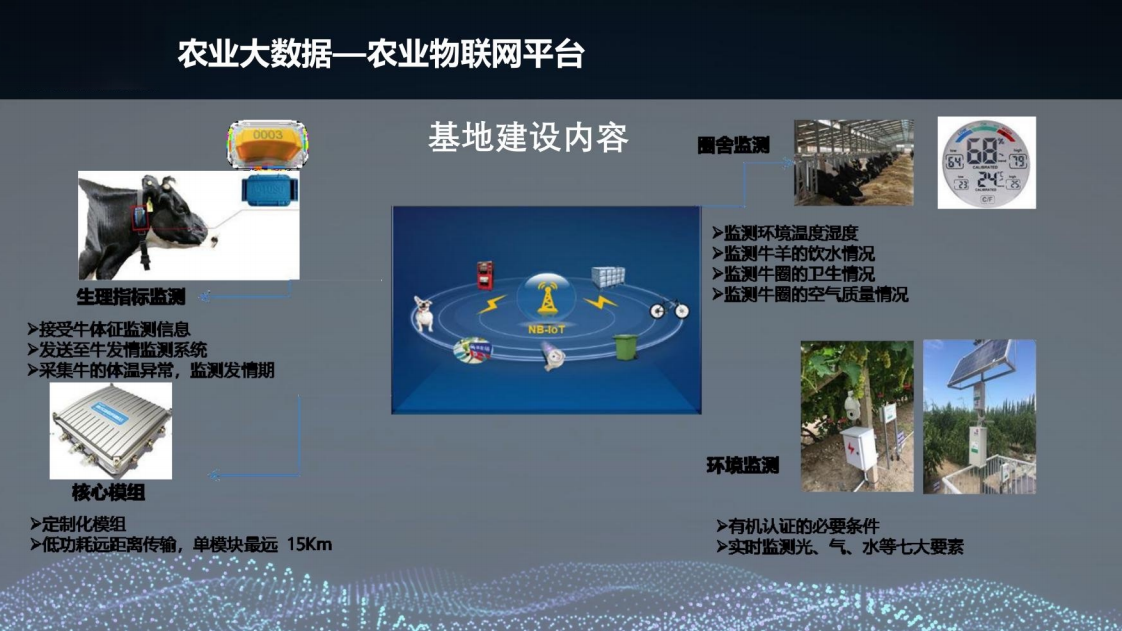 乡村振兴三农大数据建设方案图片
