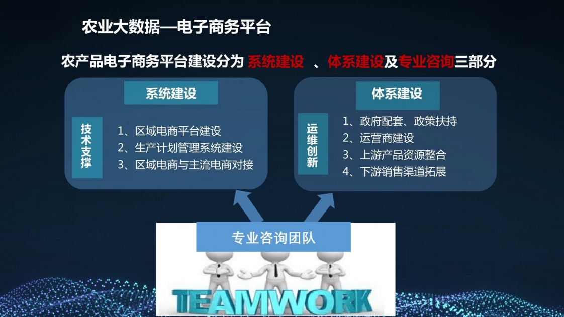 乡村振兴三农大数据建设方案图片
