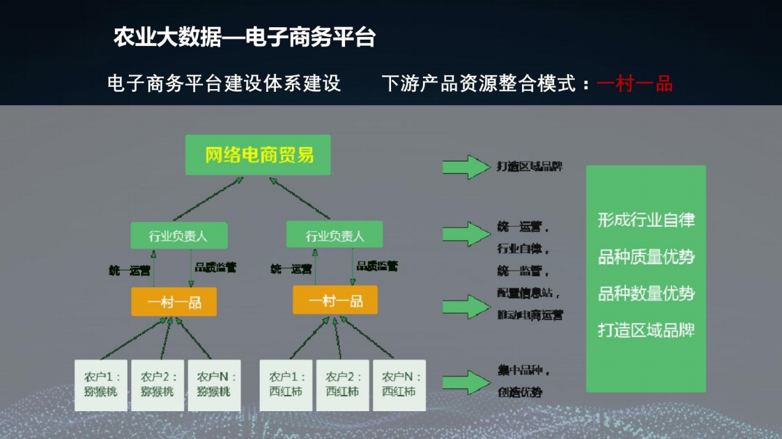 乡村振兴三农大数据建设方案图片
