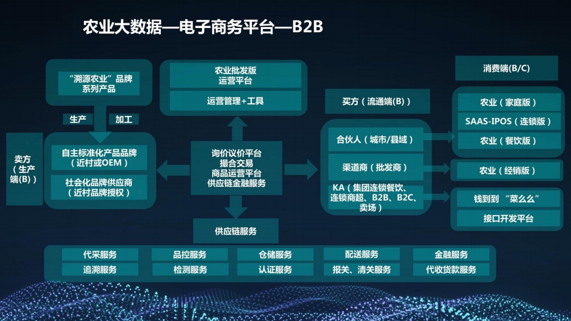 乡村振兴三农大数据建设方案图片