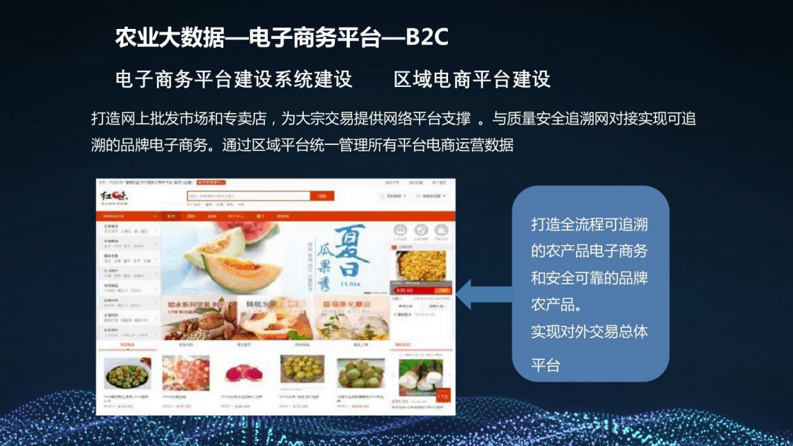 乡村振兴三农大数据建设方案图片