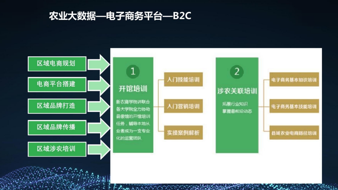 乡村振兴三农大数据建设方案图片