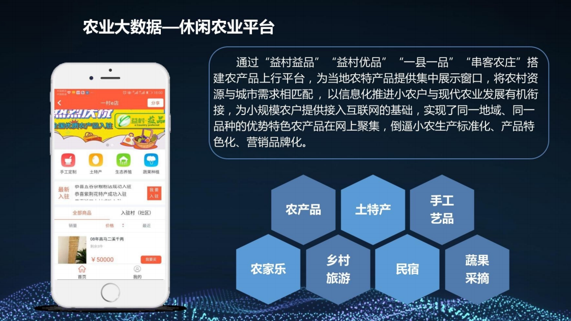 乡村振兴三农大数据建设方案图片