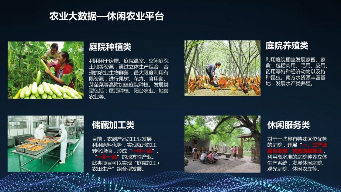 乡村振兴三农大数据建设方案图片