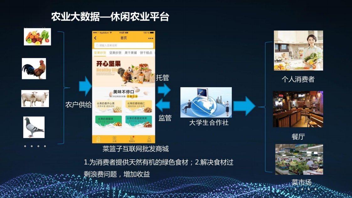 乡村振兴三农大数据建设方案图片