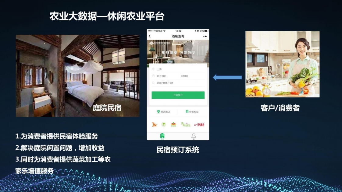 乡村振兴三农大数据建设方案图片