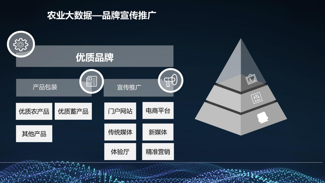 乡村振兴三农大数据建设方案图片