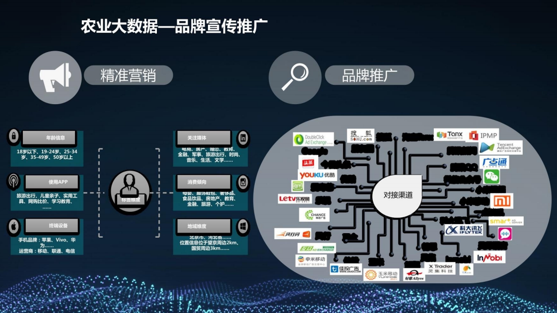 乡村振兴三农大数据建设方案图片