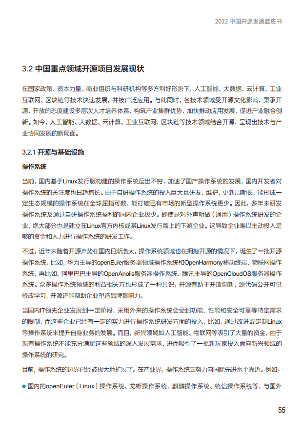  2022中国开源发展蓝皮书图片