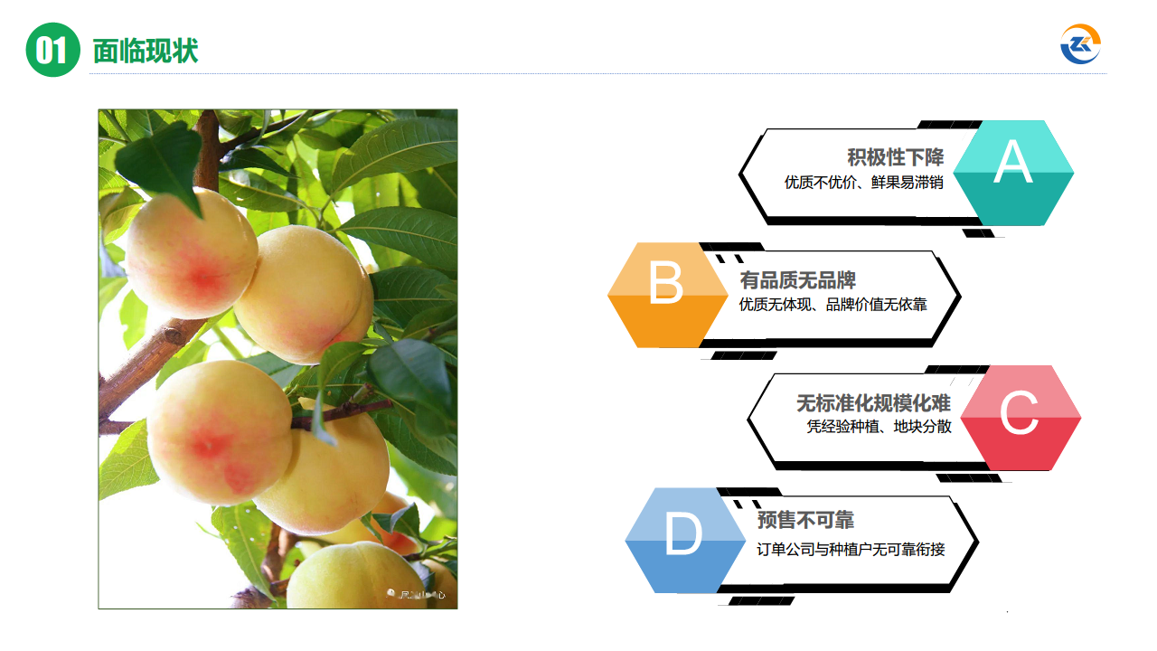 智慧农业全链数据服务平台图片