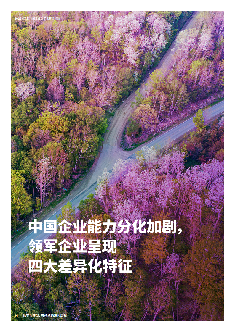 2022埃森哲中国企业数字化转型指数：数字化转型：可持续的进化历程图片