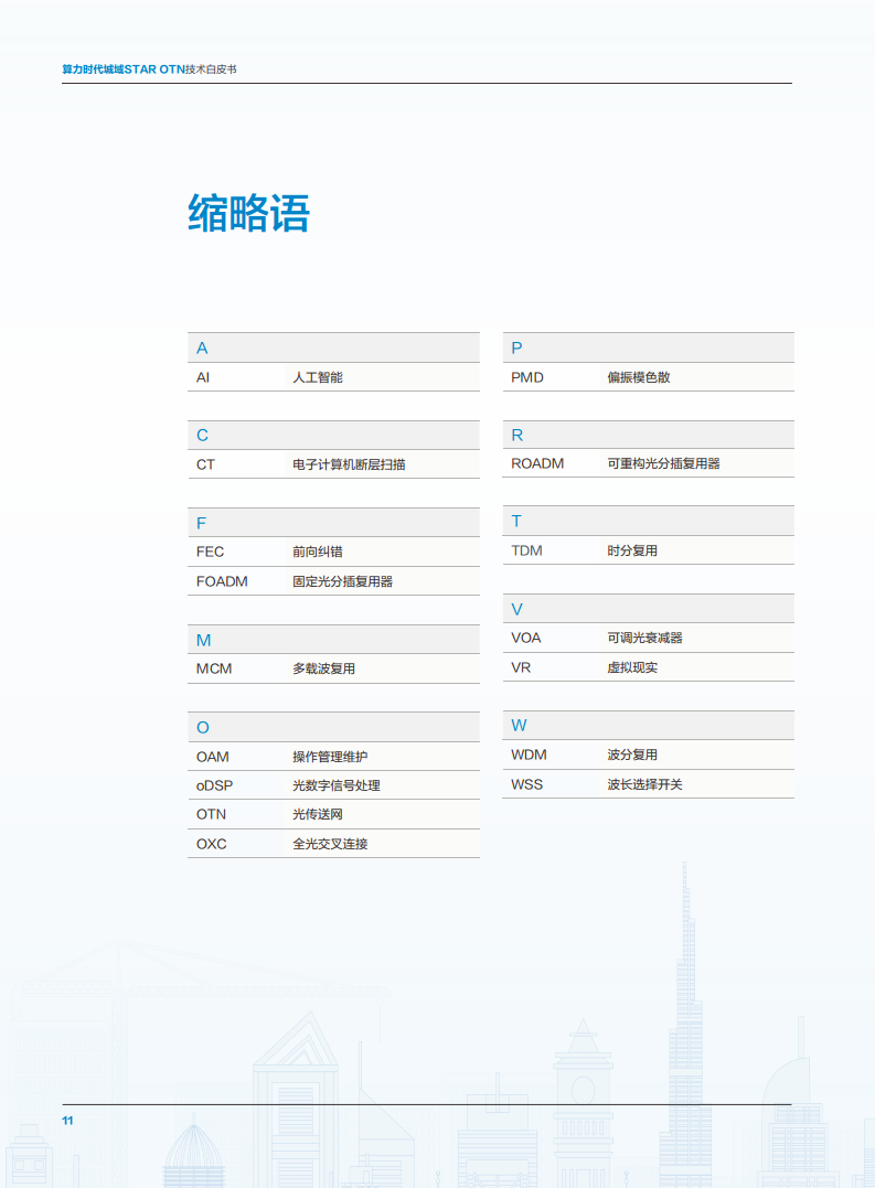 算力时代城域STAR OTN技术白皮书图片