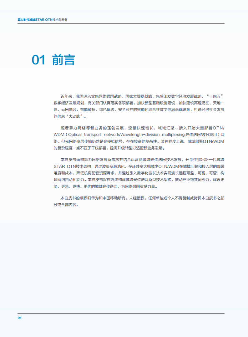 算力时代城域STAR OTN技术白皮书图片