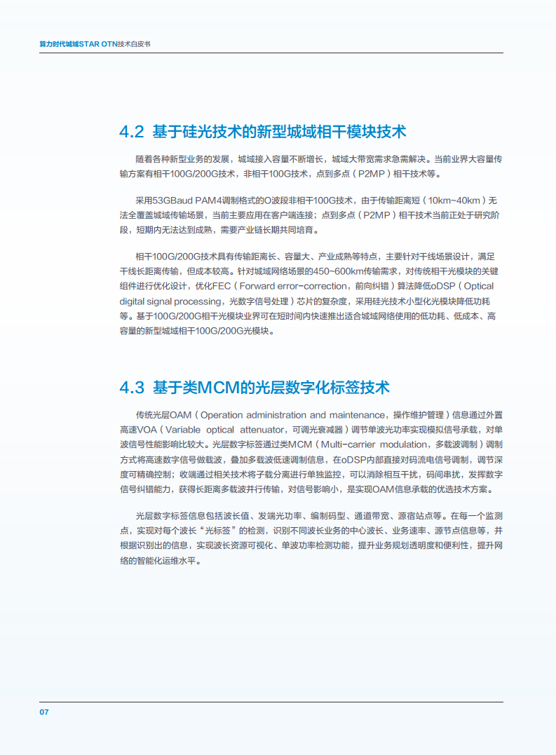 算力时代城域STAR OTN技术白皮书图片