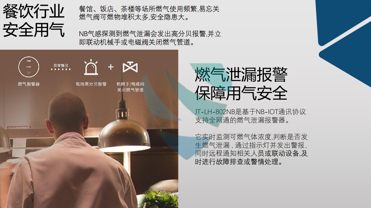 NB燃气泄漏报警器ZA-A-HNQ01图片