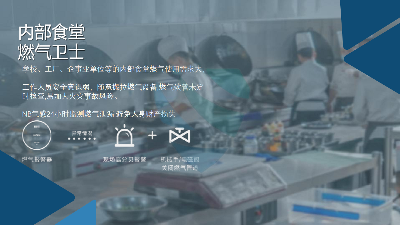 NB燃气泄漏报警器ZA-A-HNQ01图片