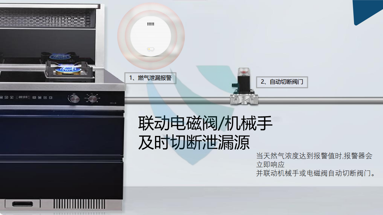 NB燃气泄漏报警器ZA-A-HNQ01图片