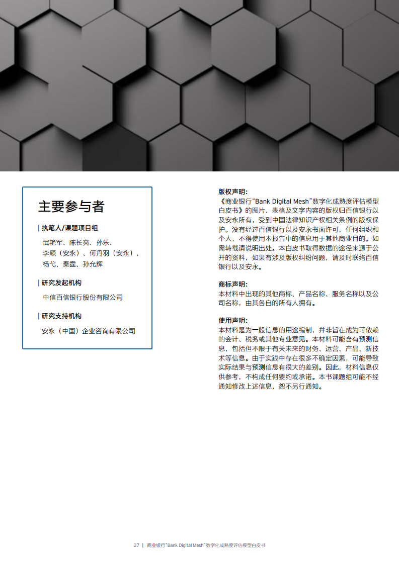 商业银行“Bank Digital Mesh”数字化成熟度评估模型白皮书图片