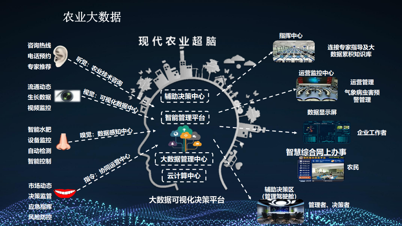 2022 5G+智慧农业大数据 数字乡村乡村振兴整体建设方案图片