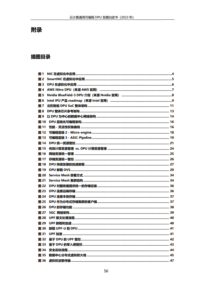 2023中国移动云计算通用可编程DPU发展白皮书图片