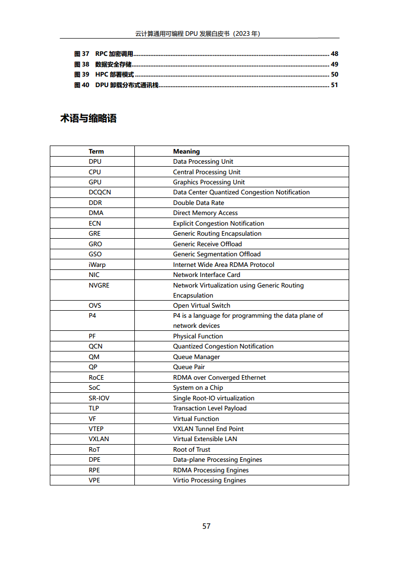 2023中国移动云计算通用可编程DPU发展白皮书图片