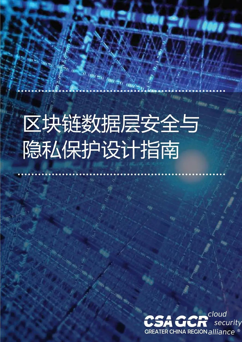 区块链数据层安全与隐私保护设计指南图片