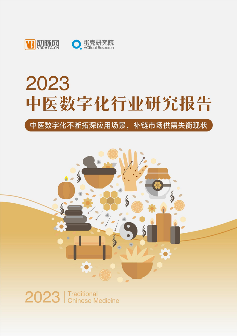 2023中医数字化行业研究报告图片