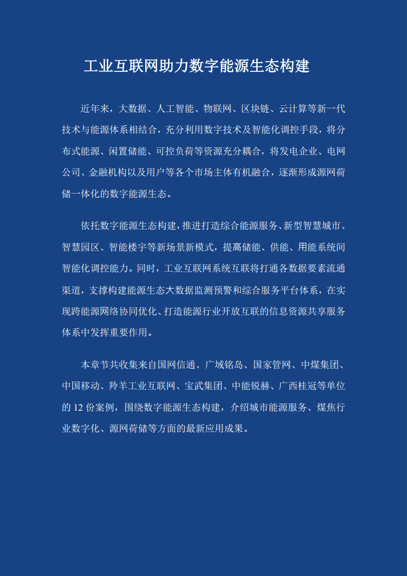 2023能源工业互联网案例集图片