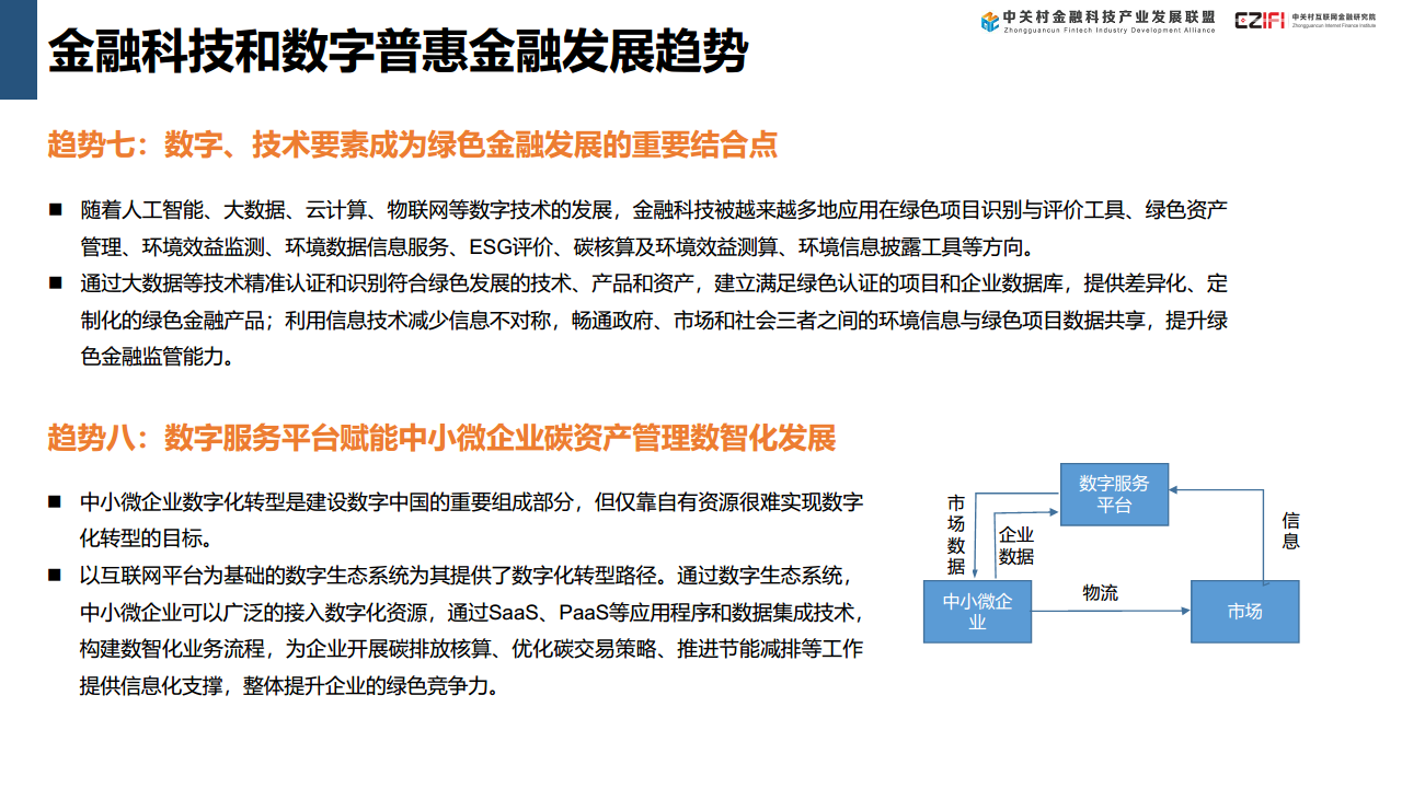 中国金融科技和数字金融发展报告（2024）图片