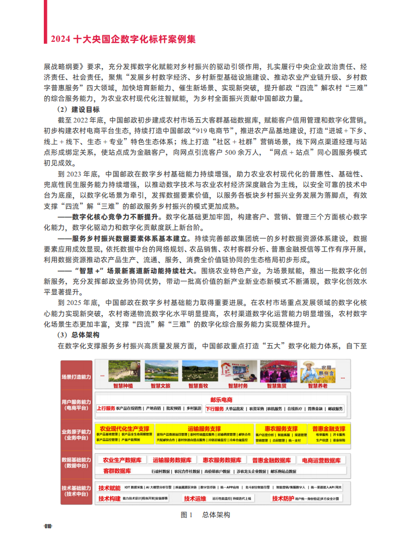 2024十大央国企数字化标杆案例集图片